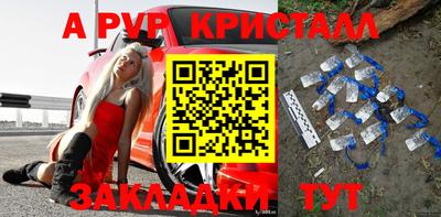 крисы Майкоп