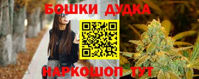крисы Майкоп