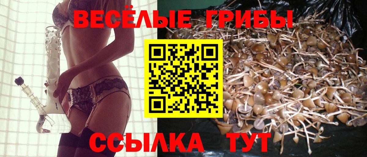 Псилоцибиновые грибы Cubensis  Вход с VPN  Владикавказ 