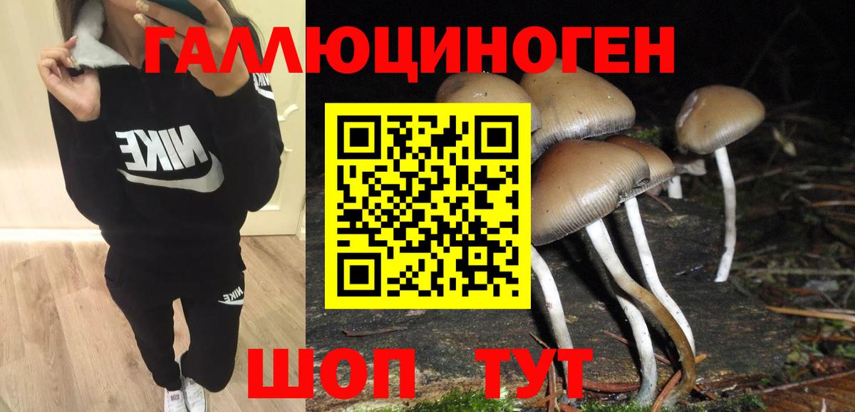 Галлюциногенные грибы прущие грибы Владикавказ